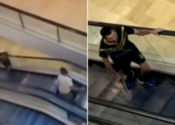 Video shows brave shopper confront Australia slasher with bollard