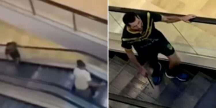 Video shows brave shopper confront Australia slasher with bollard