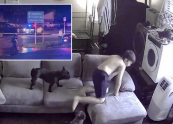 Boy, 9, ducks as bullets from drive-by shooting rip through Fort Worth home: video