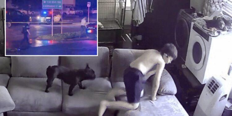 Boy, 9, ducks as bullets from drive-by shooting rip through Fort Worth home: video