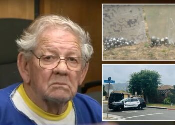 California serial slingshot shooter Prince Raymond King who terrorized neighborhood for a decade is found dead after his arrest