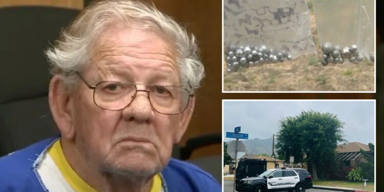 California serial slingshot shooter Prince Raymond King who terrorized neighborhood for a decade is found dead after his arrest