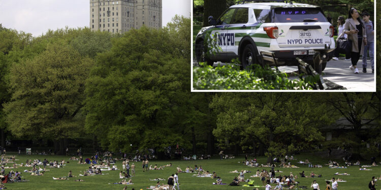 Central Park visitors no longer feel safe as crime dramatically soars — but police say they’ve stepped up patrols
