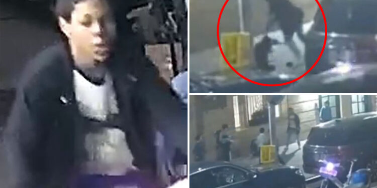 Citi Bike rider who viciously attacked Orthodox Jewish boys is shown in new NYPD video