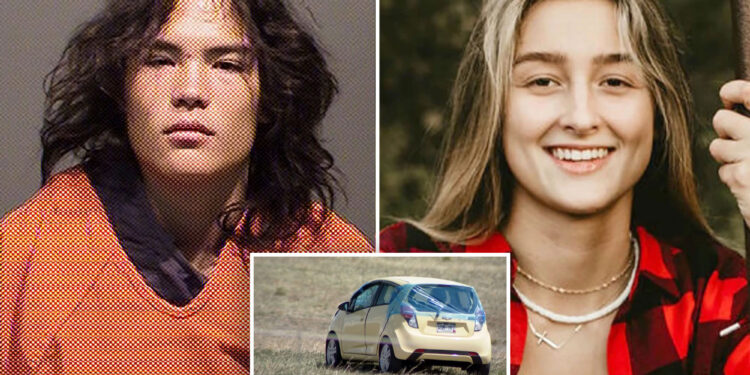 Colorado teen pleads guilty to killing driver by throwing rock through windshield