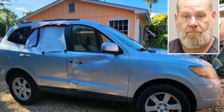 Florida man Peter Bradford Swing arrested for hit-and-run after police used teen's earbud to track suspect