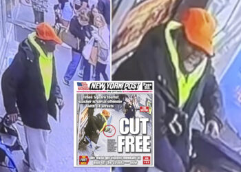 Homeless attacker charged for random stabbing of Times Square tourist after history of mental health issues