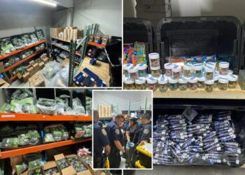 Millions of dollars worth of marijuana products found in NYC warehouse
