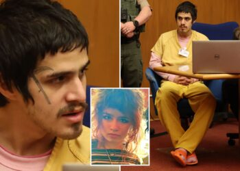 Mint Butterfield alleged kidnapper Christopher Dizefalo arraigned