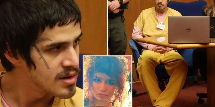 Mint Butterfield alleged kidnapper Christopher Dizefalo arraigned