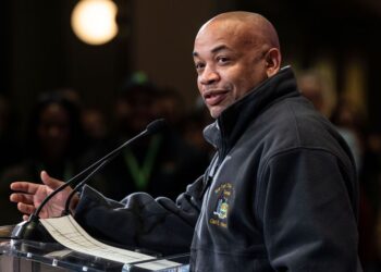 New York City has seen another rise in shoplifting complaints this year — thanks to lefty lawmakers like Assembly Speaker Carl Heastie.