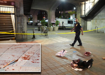 NYC girl, 17, fatally stabbed at Queens train station: NYPD