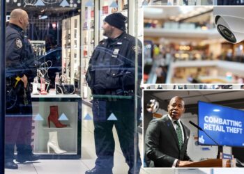NYPD could access shops' surveillance cameras — in real time — under new plan to combat theft