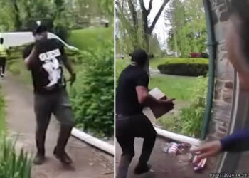 Pennsylvania porch pirate snatches package from homeowner's hands mere seconds after it's delivered