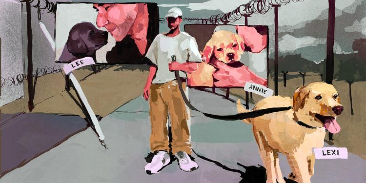 An illustration shows a man, wearing a cap and a tan prison uniform, holding onto a leash as he walks his yellow Labrador retriever. A label is near the dog that reads "Lexi." In the background, one panel shows an image of a person smiling as they face a black puppy with the label that reads "Lee." Another panel shows a close-up image of a yellow puppy with the label "Annie."