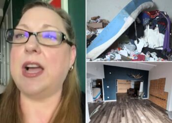 Texas homeowner claims squatter who sold her furniture in yard sale was repairman hired off TikTok as lawmakers blame police