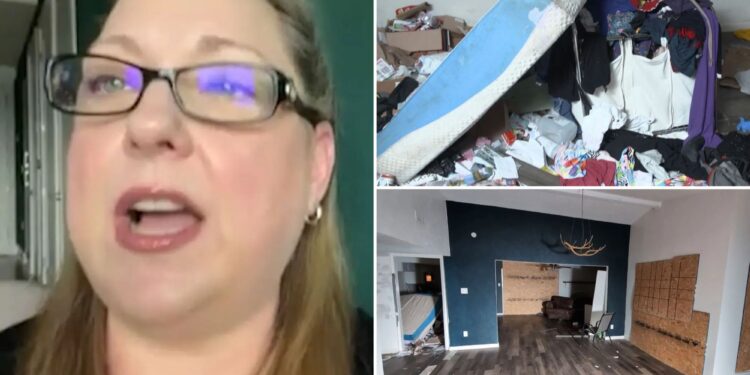 Texas homeowner claims squatter who sold her furniture in yard sale was repairman hired off TikTok as lawmakers blame police