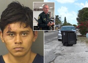 Undocumented migrant charged with sexual assault of girl, 11