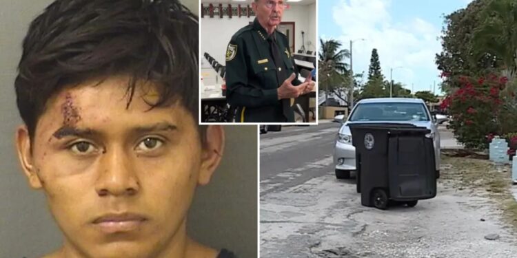 Undocumented migrant charged with sexual assault of girl, 11