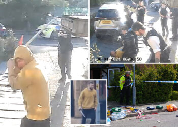 Video shows sword-wielding attacker cornered by London cops