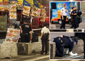 Bystander shoots man who was harassing NYC food vendor: sources