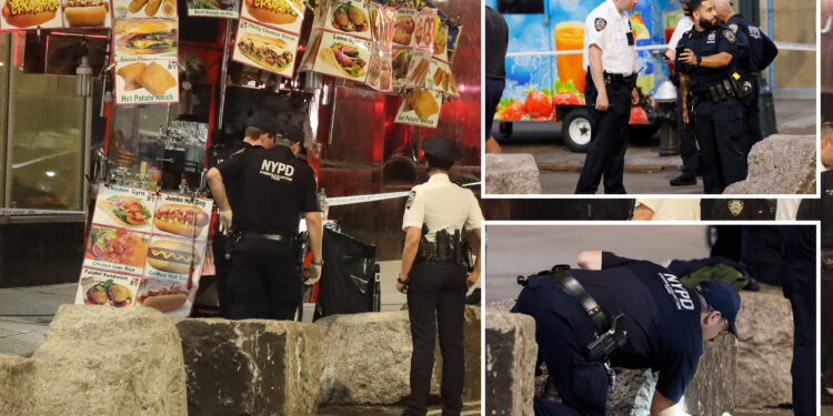 Bystander shoots man who was harassing NYC food vendor: sources