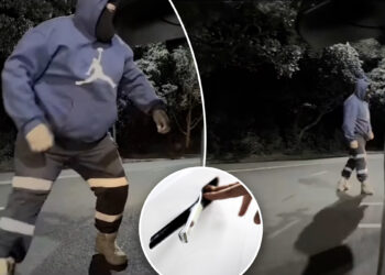 Carjacker with 'sausage fingers' fails to break into Tesla after failing to grasp door handles