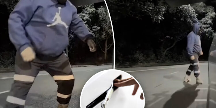 Carjacker with 'sausage fingers' fails to break into Tesla after failing to grasp door handles