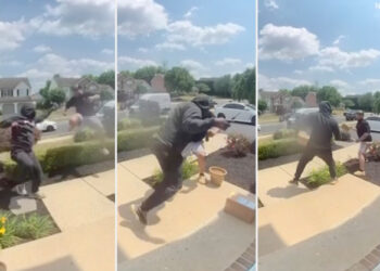 Dueling porch pirates fight to steal 'very expensive' package seconds after driver drops it off: video