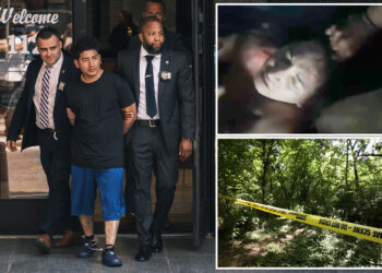 Ecuadorian migrant who allegedly raped 13-year-old NYC girl said he recorded the attack in sickening confession: DA