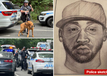 Eerie police sketch shows creep who tried to rape NYC sunbather
