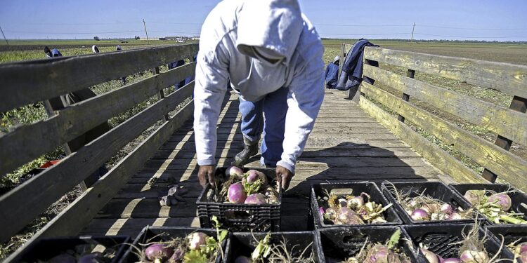 In U.S. Prisons, a New Battle Over an Old Institution: Forced Labor