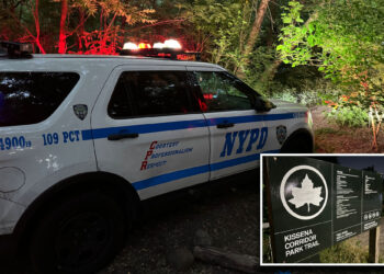 NYC 13-year-old girl sexually assaulted at knifepoint in Queens park: NYPD