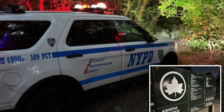 NYC 13-year-old girl sexually assaulted at knifepoint in Queens park: NYPD