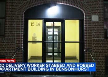 The 24-year-old victim was delivering food to an apartment on West 8th Street near Avenue O in Bensonhurst around 9:15 p.m. and calling up the customer when two assailants suddenly approached him, police said.