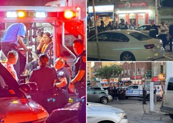 NYC man held victims hostage with fake gun in botched Brooklyn robbery: NYPD