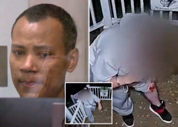 Oregon woman pleads for help at stranger’s Portland door after escaping from machete-wielding abductor Ra Fet