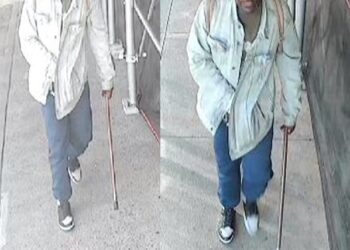 The suspect randomly stabbed the 55-year-old woman at St. Nicholas Avenue and West 111th Street in Harlem, police said.