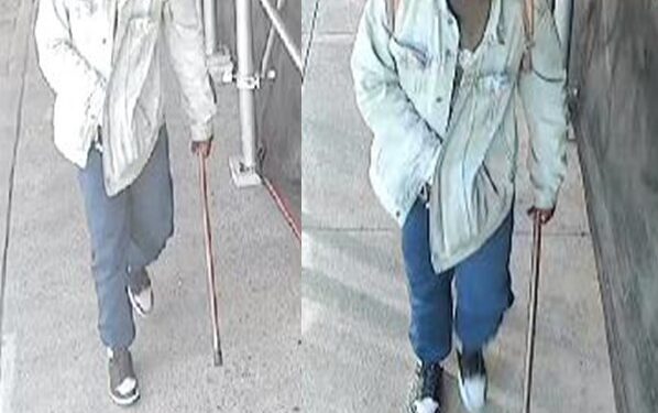 The suspect randomly stabbed the 55-year-old woman at St. Nicholas Avenue and West 111th Street in Harlem, police said.