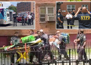 'Very jealous' boyfriend shoots girlfriend, her son inside NYC apartment before blasting himself in the head: sources