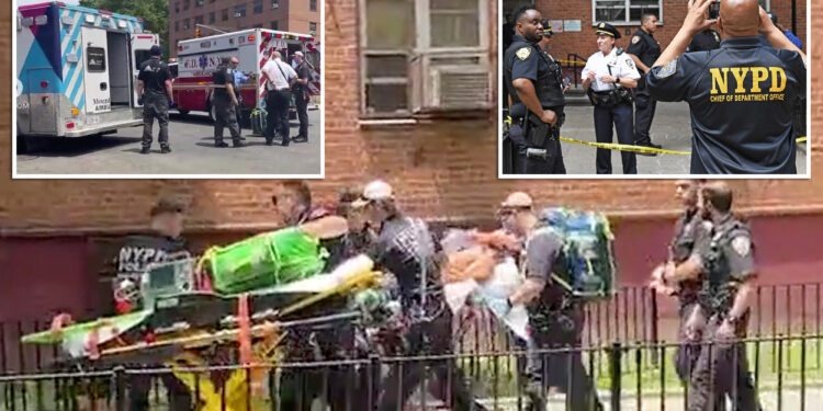 'Very jealous' boyfriend shoots girlfriend, her son inside NYC apartment before blasting himself in the head: sources