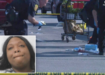 Woman stabs boy, 3, in random attack at Ohio grocery store