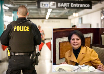 Aunt, 74, dead after homeless man pushed her into San Francisco BART train: police