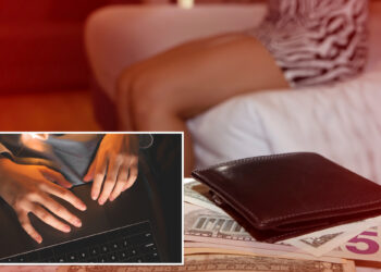 Chinese migrant offers sex favors to get hitman to kill lover's wife, daughter -- but plot foiled by scam site: feds