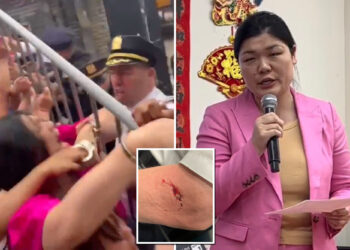 Cop-boosting councilmember who allegedly bit officer at Brooklyn protest accuses NYPD of 'brutality' and 'Asian hate'