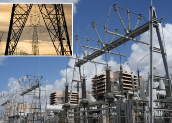 Ex-Marines sentenced in half-baked neo-Nazi plot to blow up power grid: officials