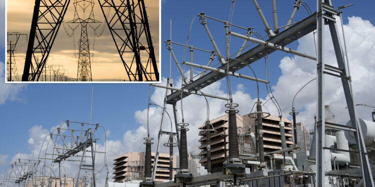 Ex-Marines sentenced in half-baked neo-Nazi plot to blow up power grid: officials