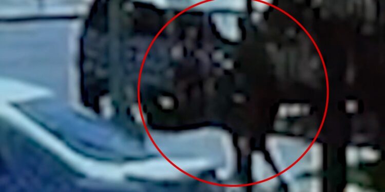 Blurry image from surveillance footage showing a man attacking  a teenager.