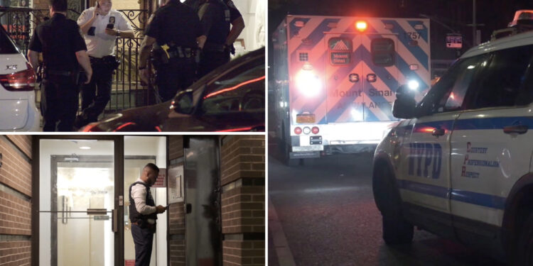 Good Samaritan beaten after trying to help woman whose boyfriend slapped her on NYC street: cops