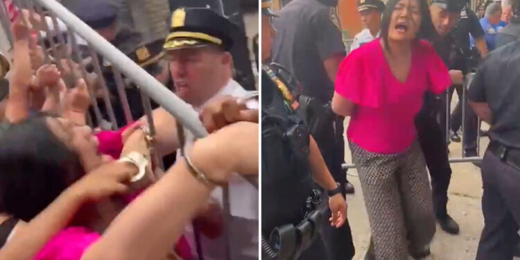 Irate NYC councilwoman accused of biting cop in scream-filled clash at homeless shelter protest: sources